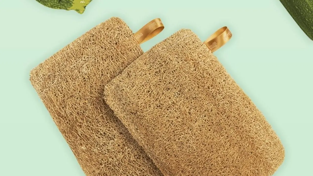 Sekelumit tentang Loofah Si Spons Alami, Bisa untuk Mandi hingga Cuci Piring