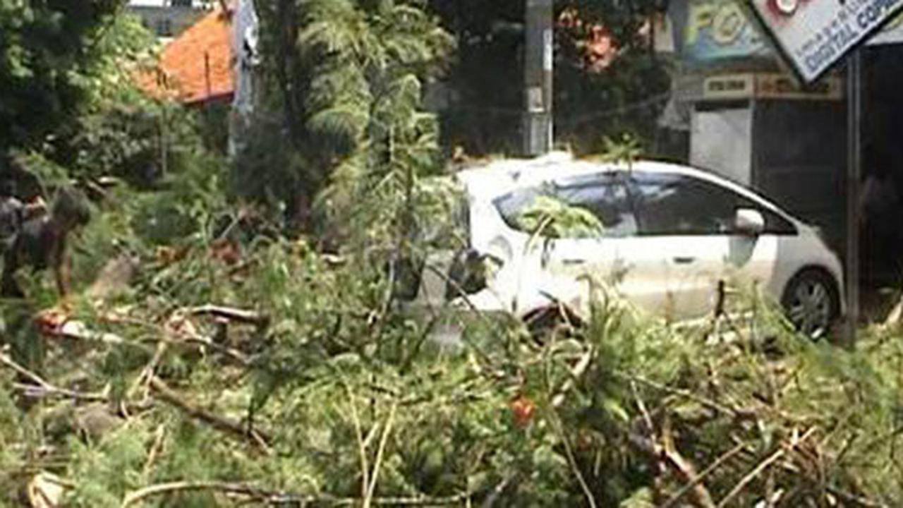 Pohon besar di Purwakarta tiba-tiba tumbang timpa mobil dan pemotor