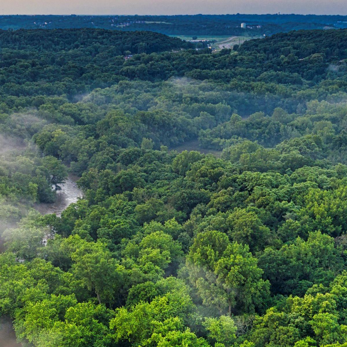 Kota Kuno 2.500 Tahun Ditemukan di Hutan Amazon, Lebih Besar dari Suku Maya