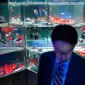 Seorang pria melihat ikan mas selama pratinjau pers dari pameran EDO Nihonbashi Art Aquarium 2018 di Tokyo, Jepang (5/7). Pameran tahunan di Tokyo ini akan dibuka untuk umum mulai 6 Juli hingga 24 September 2018. (AFP Photo/Martin Bureau)