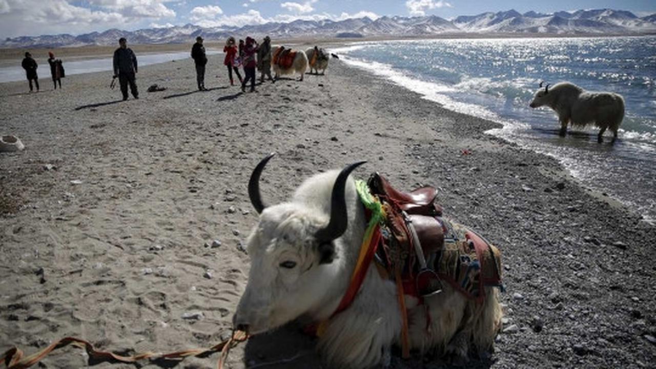Menikmati keindahan Danau Namtso di ketinggian 4.718 mdpl