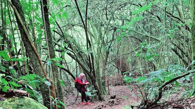 Hutan di Gunung Pundak Mojokerto @iras_2k