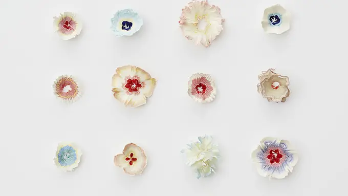 Dari Sampah Serutan Pensil, 6 Bunga Ini Tetap Memikat Hati