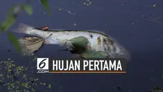 Setelah kemarau panjang, beberapa daerah di Indonesia mulai hujan. Namun ternyata hujan pertama setelah kemarau panjang bisa berdampak buruk.