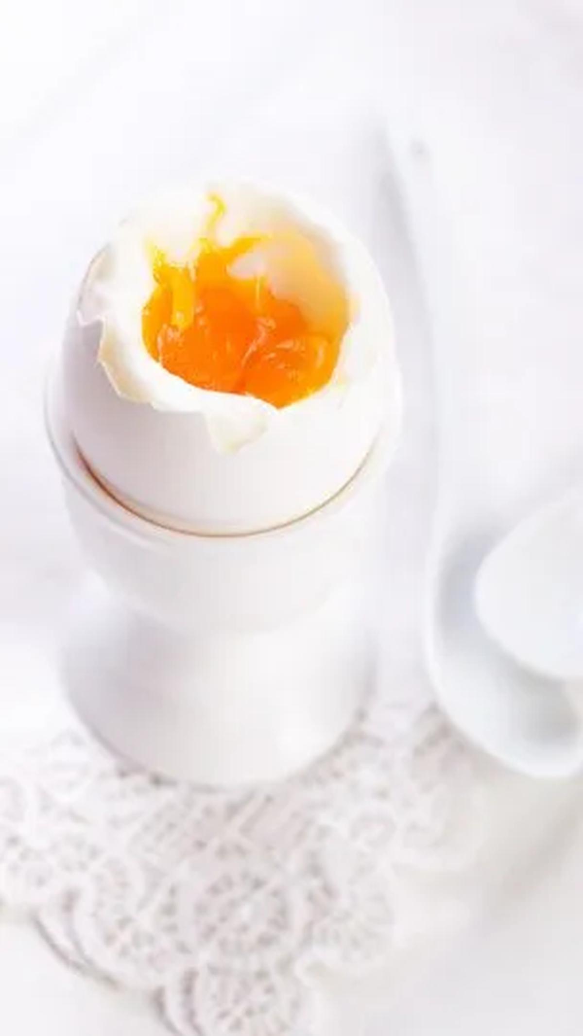 Dengan memahami perbedaan ini, kita dapat membuat pilihan yang lebih bijak dalam mendukung kesehatan tubuh kita.