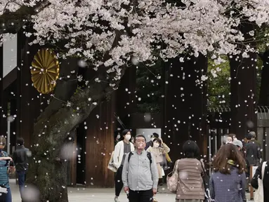 Pengunjung berjalan-jalan di bawah pancuran bunga sakura yang mekar penuh di kuil shinto di Tokyo, Kamis (31/3/2022). (AP Photo/Shuji Kajiyama)