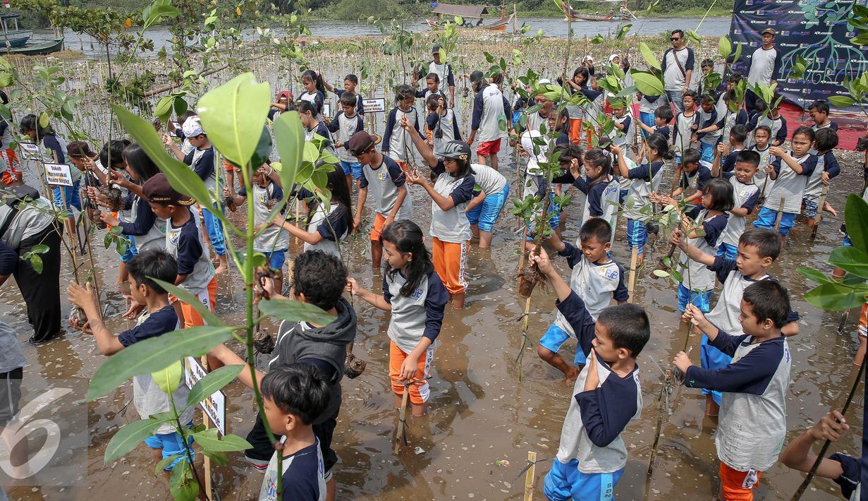 Sejumlah siswa siswi SDN Pluit 03 bersama PLN Jawa Bali dan Komunitas Mangrove menanam bibit mangrove di Pesisir Pantai Muara Karang, Jakarta, Kamis (29/10). Sebanyak 5.000 bibit baru ditanam untuk memperkuat ekosistem. (Liputan6.com/Faizal Fanani)