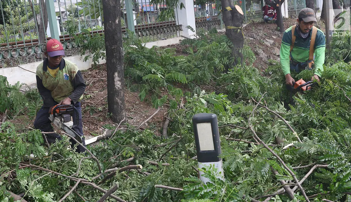 Petugas memangkas dahan pohon yang rimbun di sepanjang Jalan Lenteng Agung Raya, Jakarta Selatan, Rabu (2/1). Pemangkasan dilakukan guna mencegah pohon tumbang akibat musim hujan dan angin kencang. (Liputan6.com/Immanuel Antonius)