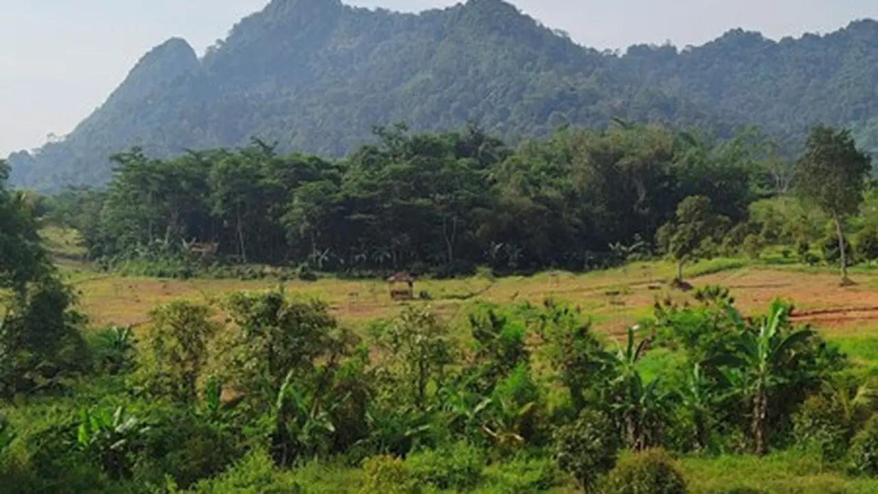 Agrowisata