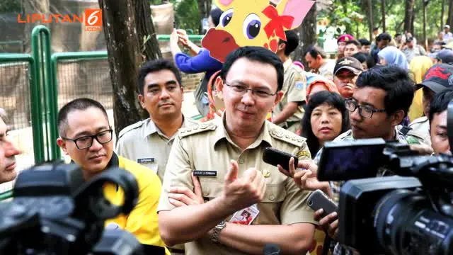 Gubernur DKI Jakarta Ahok mengisyaratkan segera mendeklarasikan diri sebagai calon gubernur Ibu Kota melalui jalur independen.