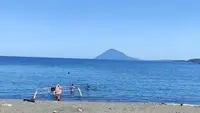 Ngeri, 30 Bangkai Hiu Ditemukan Berserakan di Pantai New Jersey