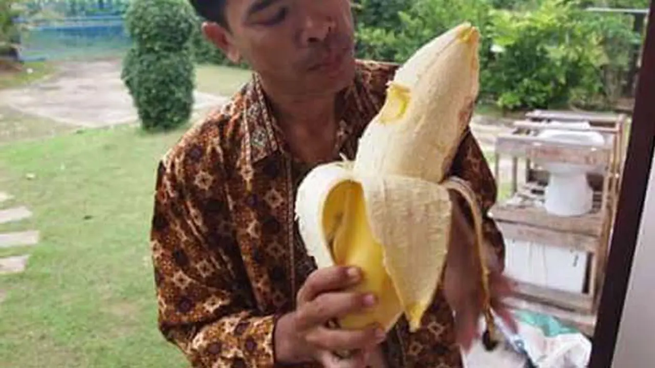 Heboh Pisang Raksasa dari Papua Mendunia