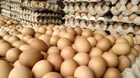 Ilustrasi telur ayam (Istimewa)