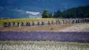 Pemandangan indah saat para pembalap beraksi pada etape 11 Tour de France 2021. (Foto: AFP/Anne-Christine Poujoulat)