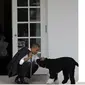 Dalam file foto 15 Maret 2012 ini, Presiden Barack Obama mengelus anjing keluarga bernama Bo, di luar Oval Office Gedung Putih di Washington. (AP Photo/Pablo Martinez Monsivais)