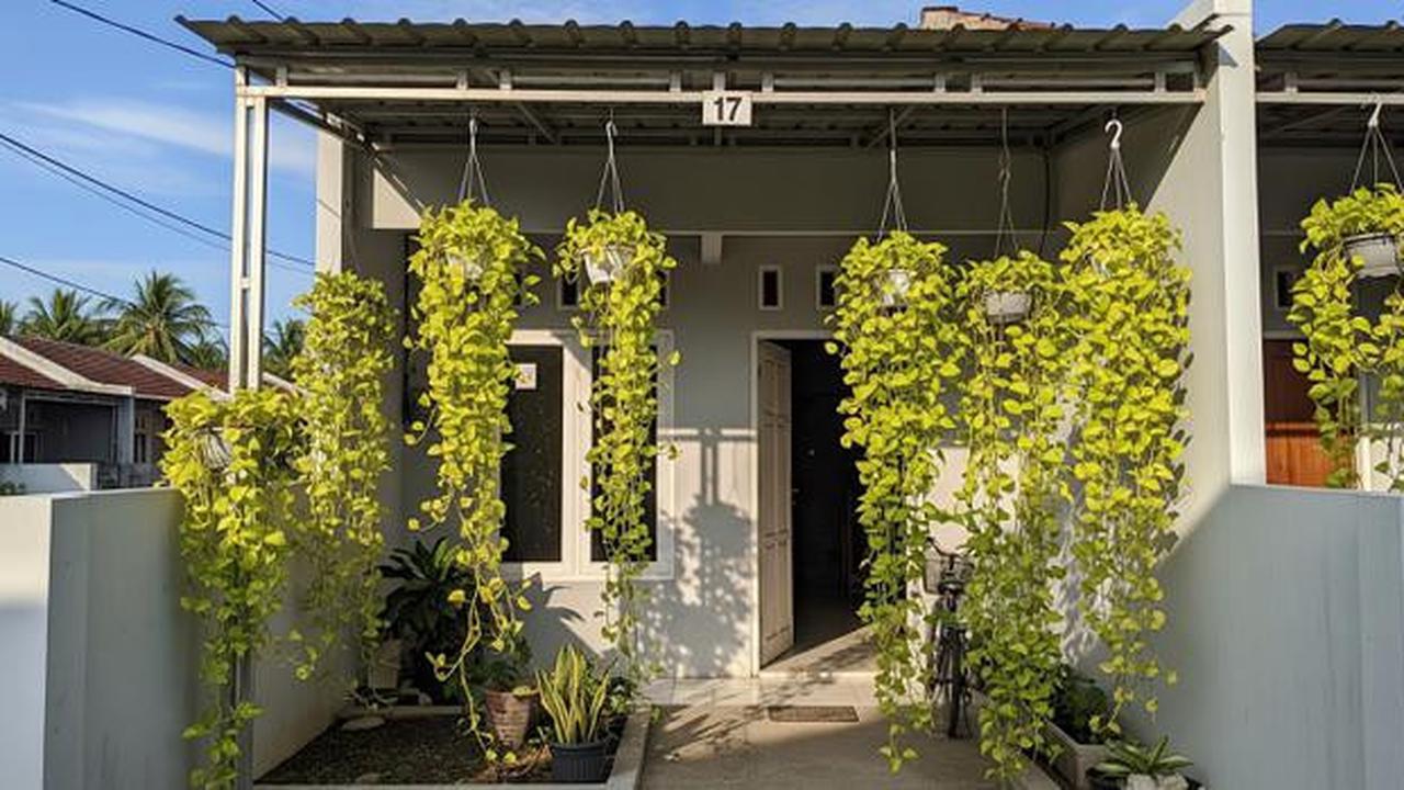 15 Tanaman Gantung untuk Teras Sempit yang Awet Meski Jarang Disiram, Percantik Halaman Rumah