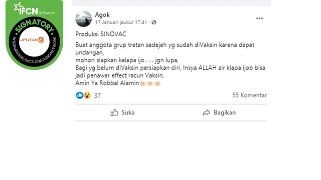 Klaim air kelapa hijau bisa netralkan vaksin sinovac.