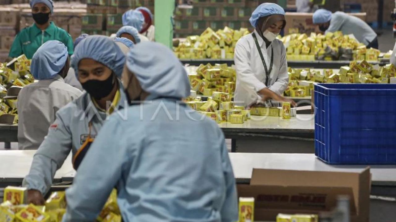 Penurunan Angka Pengangguran Indonesia: Analisis Data BPS November 2025 dan Tantangan Kualitas Pekerjaan