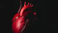 Jaga Kesehatan Jantung, Ini 5 Cara Sederhana yang Bisa Diterapkan Sejak Usia Muda