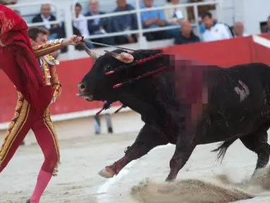 Matador Spanyol, Roman berusaha menusukkan pedang ke banteng saat The Easter Feria di Arles, Perancis, Senin (18/4). The Easter Feria adalah awal dari musim adu banteng di Perancis. (AFP PHOTO / BERTRAND LANGLOIS)