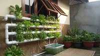 Panduan Hidroponik di Rumah Tanpa Greenhouse, Panen Sayur Segar di Lahan Terbatas