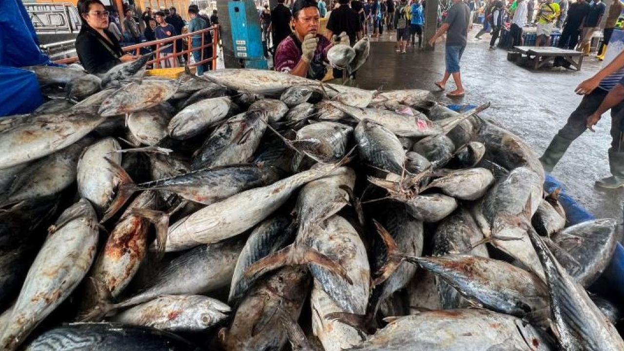 Cara Sederhana untuk Menghapus Formalin dari Ikan Segar, Hanya Perlu 1 Bahan Dapur Ini