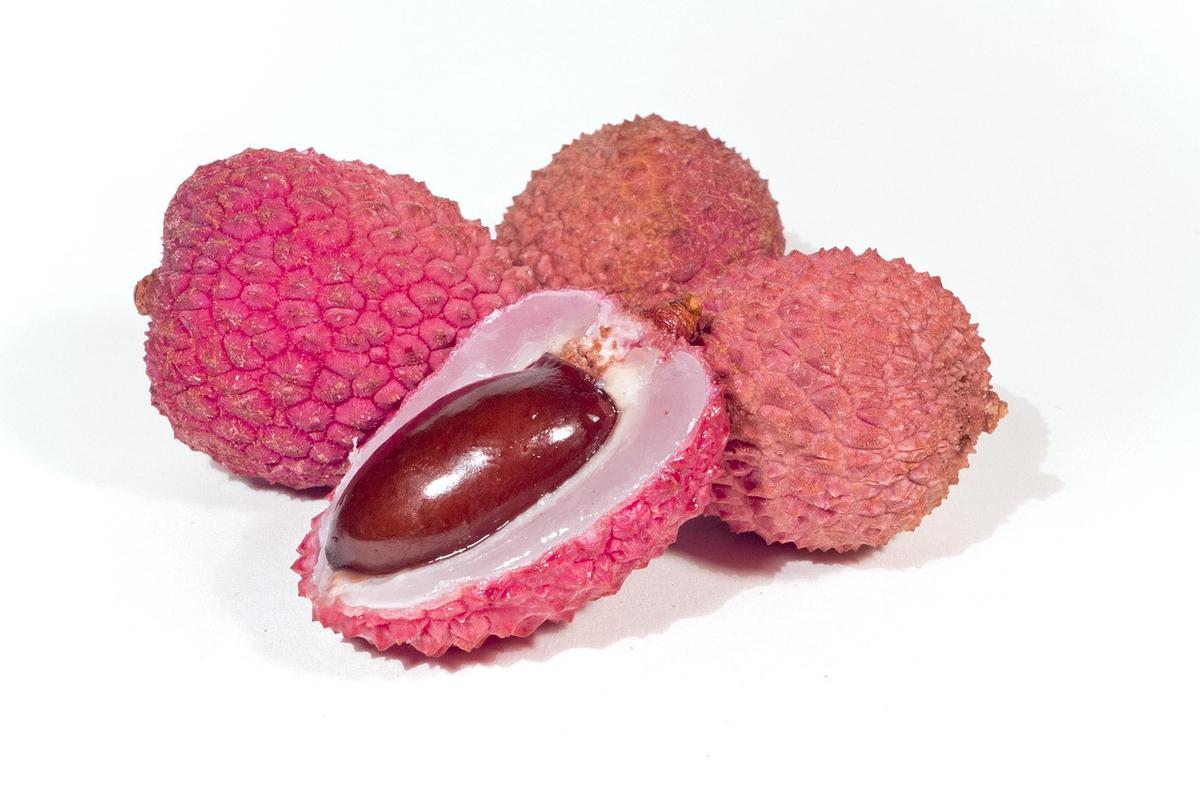 Ilustrasi Biji Buah Leci