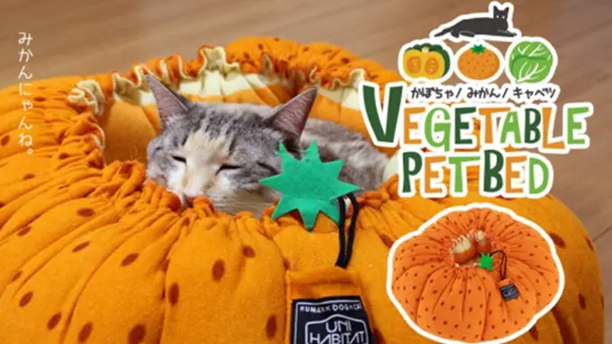 Copyright by rocketnews24.com