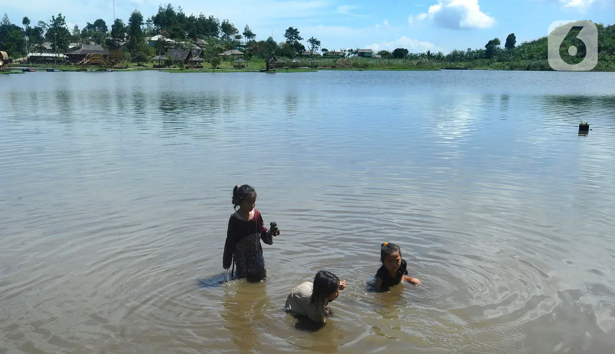 Anak-anak mengumpulkan kerang atau kijing di kawasan Situ Rawa Gede, Sirnajaya, Bogor, Jumat (6/1/2023). Mengisi waktu libur sekolah, mereka membantu orang tuanya dengan mengumpulkan kerang yang dijual sebesar Rp 5ribu per kg. (merdeka.com/ Arie Basuki)
