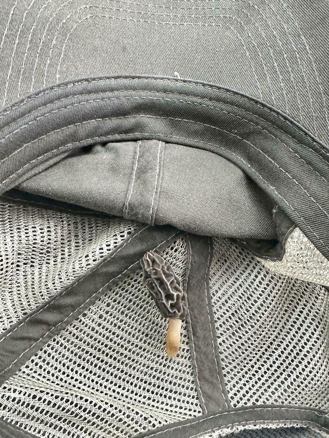 Hasil Berkebun Tak Sesuai Ekspektasi