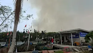 Asap Kebakaran TNWK makin Tebal, Ranting Gosong Serbu Permukiman