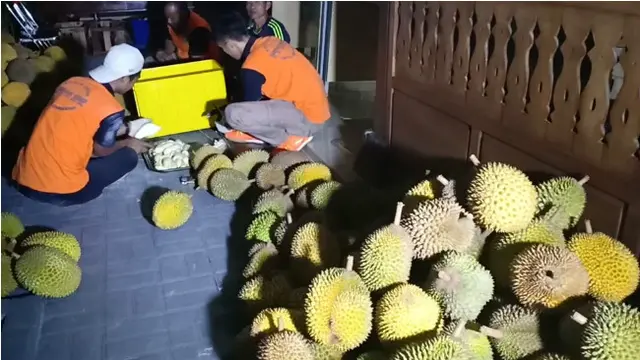 Ratusan Warga Brebes Gelar Nobar Debat Capres Sambil Makan Durian Dua Pikap