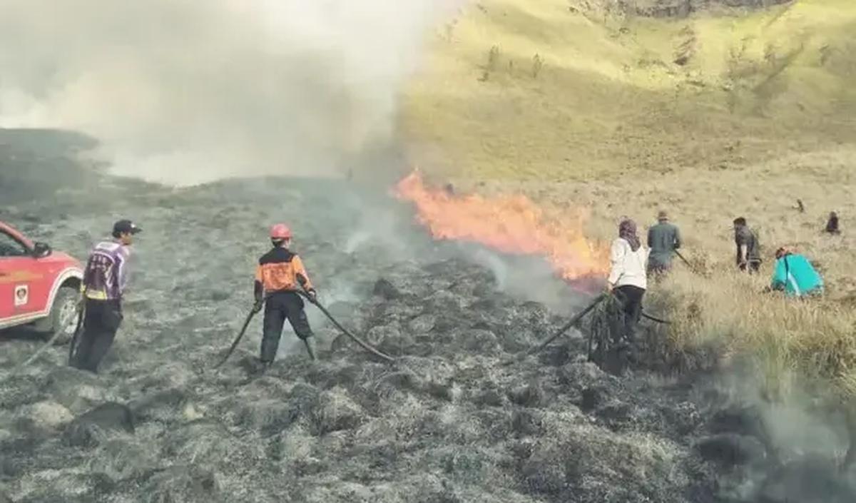 "Akses hanya dibuka untuk masyarakat Desa Ranupani, Kabupaten Lumajang dan masyarakat Desa Ngadas, Kabupaten Malang,"&nbsp;