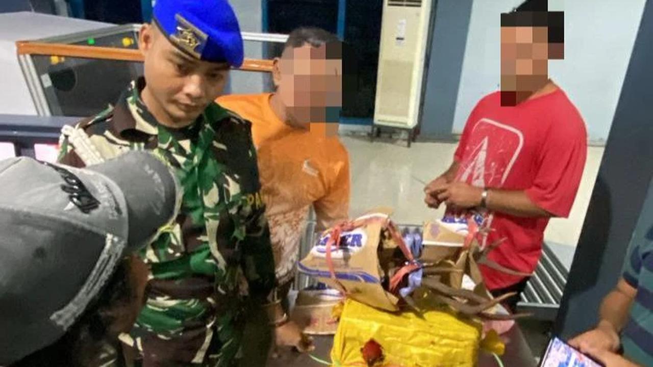 TNI AL gagalkan penyelundupan hewan dilindungi