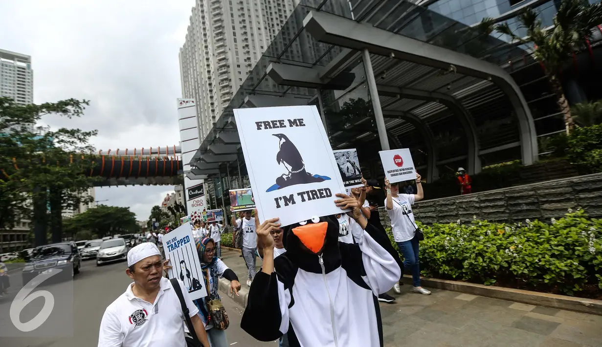 Seorang aktivis mengenakan kostum penguin saat melakukan aksi di kawasan Central Park, Jakarta Barat (15/01). Di restoran tersebut terdapat akuarium berisi penguin-penguin jenis Humboldt yang menjadi tontonan pengunjung. (Liputan6.com/Faizal Fanani)