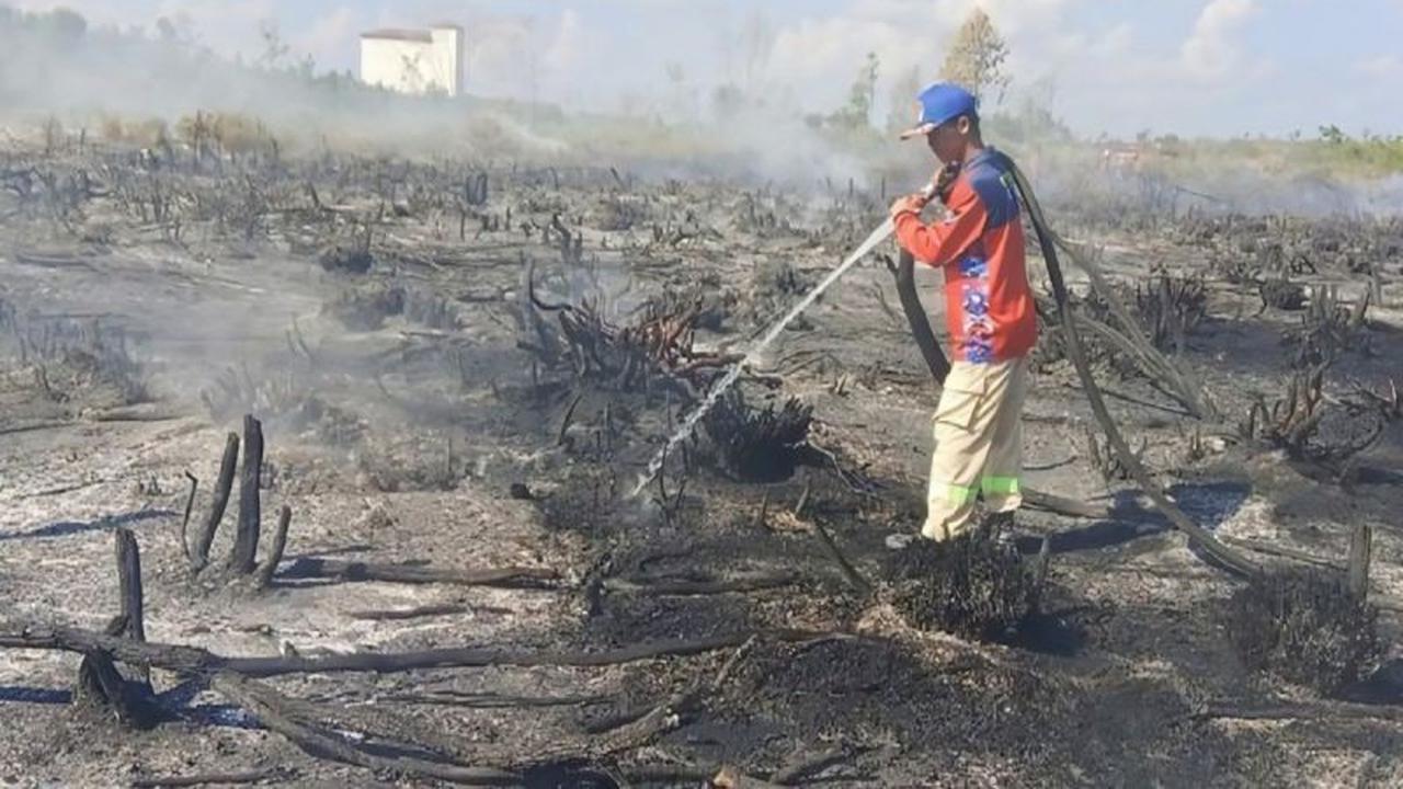 PLN Perkuat Mitigasi Bencana di Palangka Raya Lewat Program TJSL Peduli