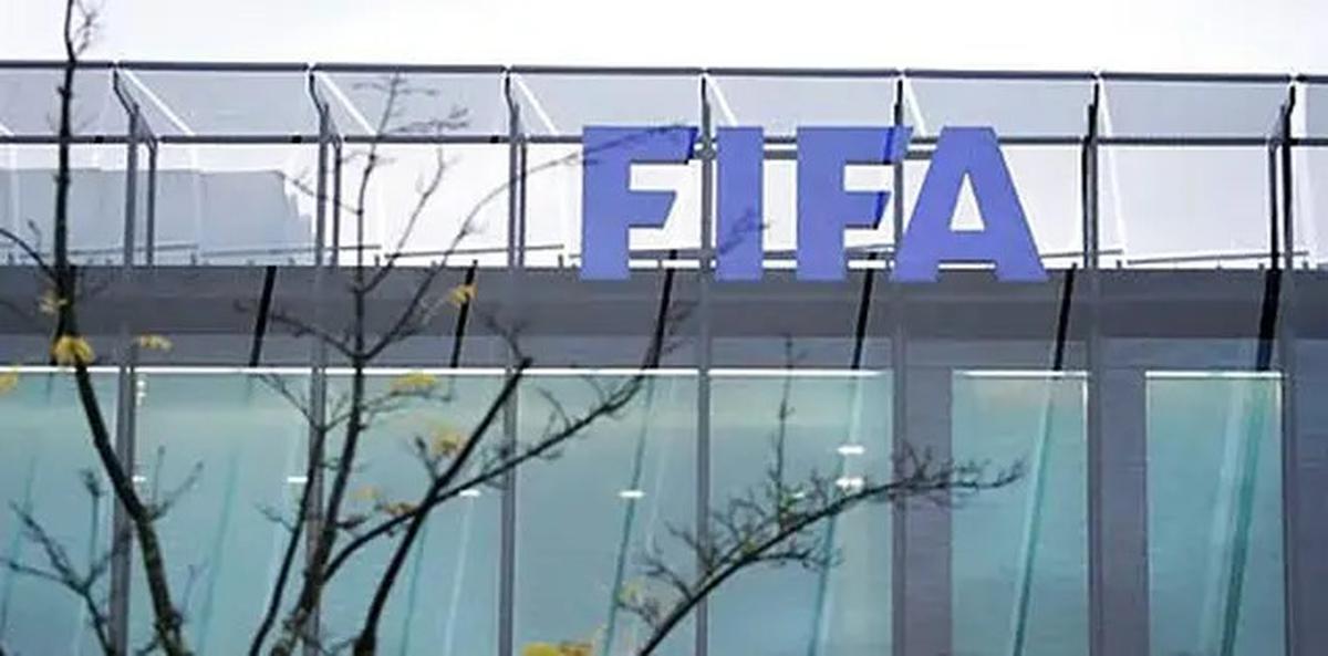 Jadi Salah Satu Tuan Rumah Piala Dunia 2030, Maroko Diterpa Isu Pembersihan Brutal terhadap Anjing Liar