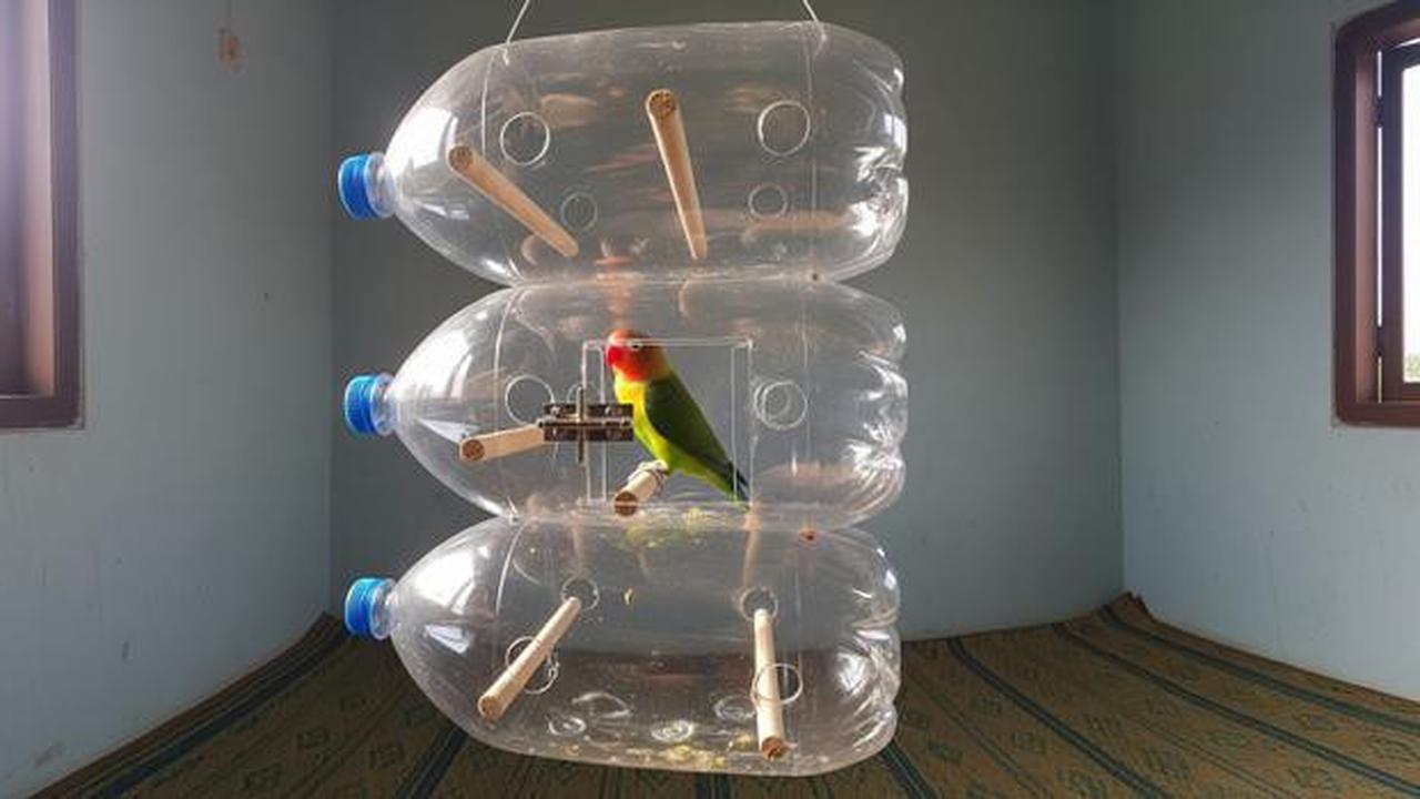 8 Desain Kandang Lovebird dari Botol Bekas, Kreatif dan Hemat Biaya