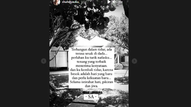 Shandy Aulia