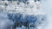 Es dan salju mewarnai pepohonan di sebelah American Falls yang terlihat dari Air Terjun Niagara di Ontario, Kanada, Kamis (31/1). Cuaca dingin yang melanda AS membuat sebagian Air Terjun Niagara membeku. (Tara Walton/The Canadian Press via AP)