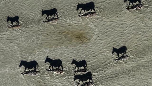 7 Potret dengan Ilusi Optik Ini Bakal Membuatmu Bingung