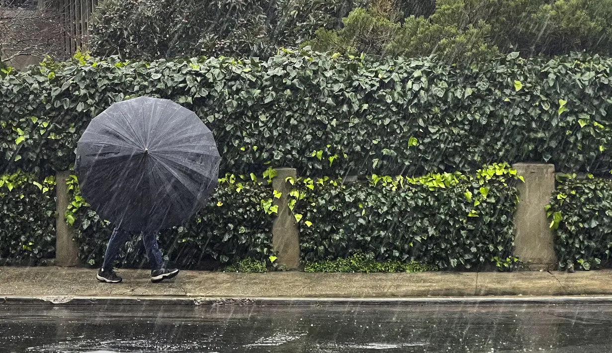 Pejalan kaki menangkis angin dan hujan di sepanjang Second Street di Sausalito, California (13/12/2021). Pengendara berputar di jalur gunung yang memutih dan penduduk menggunakan payung menghadapi angin kencang saat California Utara menyerap lebih banyak hujan dan salju. (AP Photo/Damian Dovarganes)