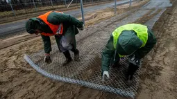 Narapidana bersiap memasang pagar kawat di perbatasan Hungaria - Serbia, dekat Kelebia, 1 Maret 2017. Pagar itu akan memperkuat penghalang yang dibangun pada 2015 di puncak krisis imigran Eropa di sepanjang Hongaria selatan. (Sandor Ujvari/MTI via AP)