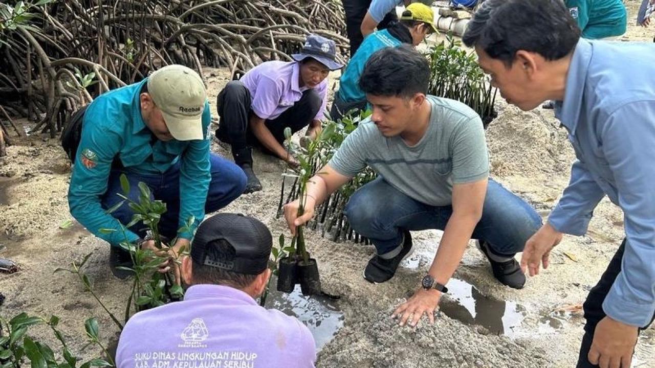 Pemkab Kepulauan Seribu Gencarkan Konservasi Lingkungan: Tanam Mangrove dan Lepas Tukik