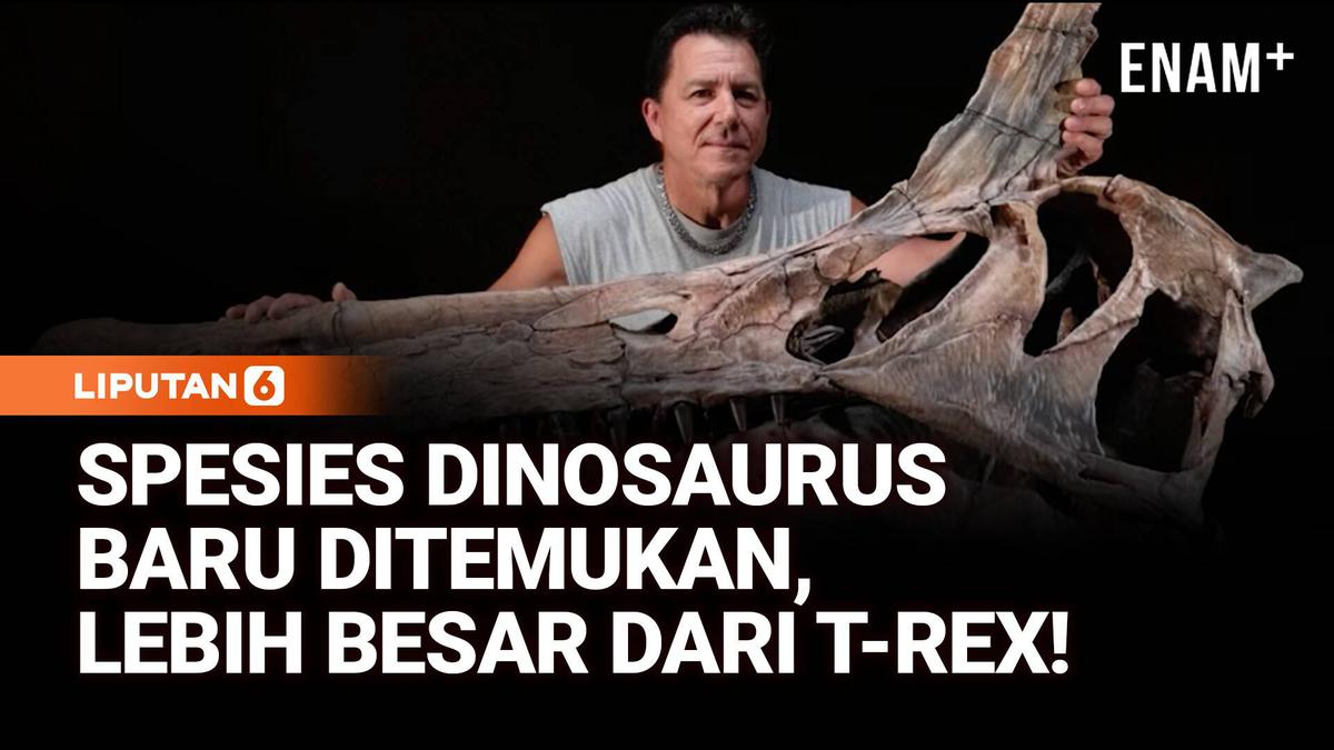 Temuan Spesies Baru Dinosaurus, Jauh Lebih Besar dari T-Rex!