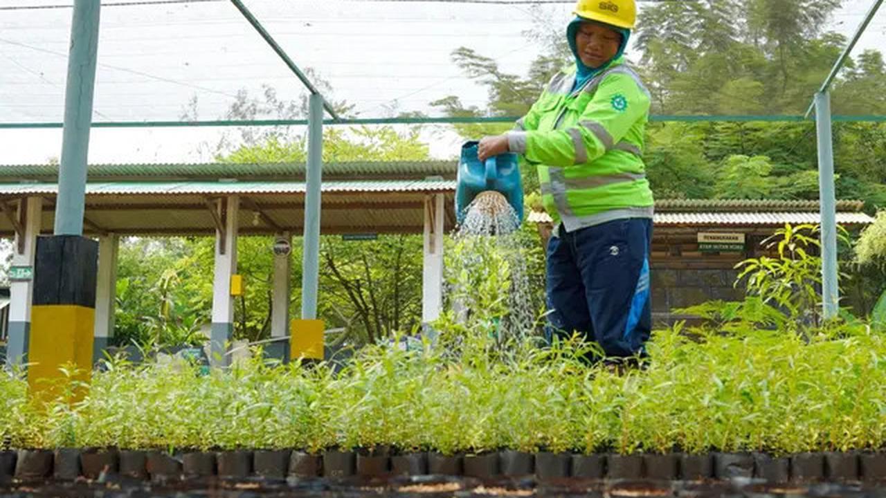 Semen Indonesia Serap 20 Ribu Tenaga Kerja Lewat Program Ini