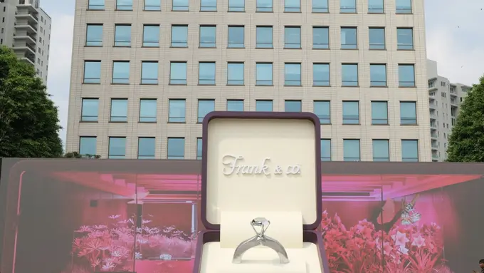 Frank & Co