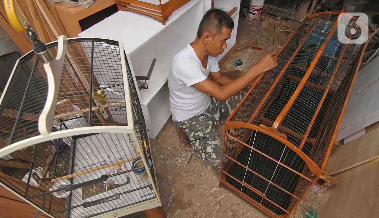 Perajin membuat sangkar burung di YR Sangkar, Cimanggis, Depok, Jawa Barat, Rabu (17/3/2021). Perajin mengkatakan produksi sangkar burung yang dijual Rp 150 ribu hingga Rp 500 ribu per sangkar alami peningkatan penjualan 50 persen selama pandemi COVID-19. (Liputan6.com/Herman Zakharia)