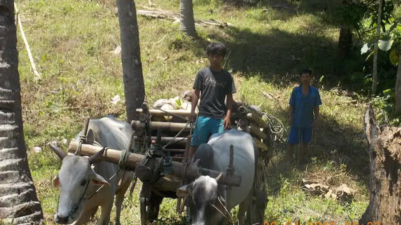 20160126-Kelompok Belajar Tunas Bangsa Manado