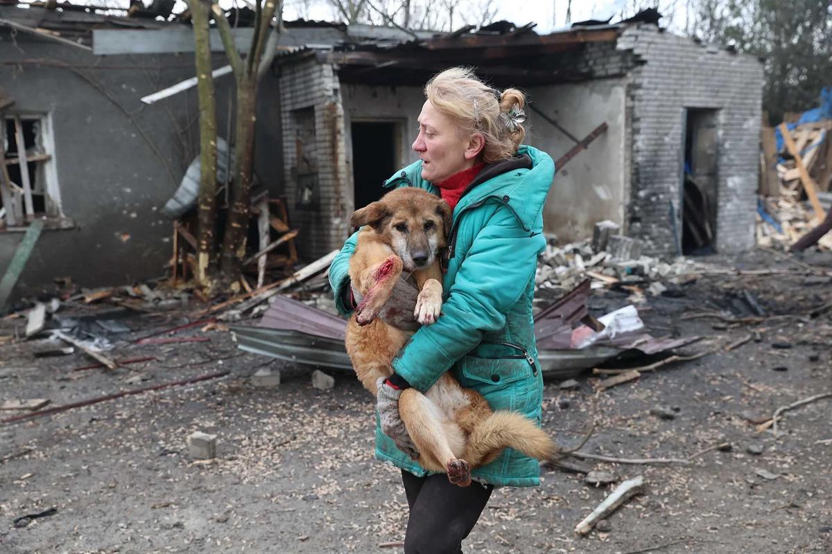 FOTO: Evakuasi Anjing Terluka Usai Serangan Rusia Hantam Penampungan Anjing Liar